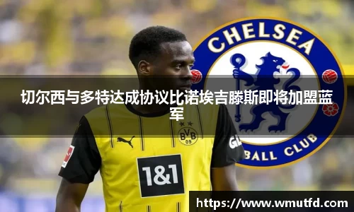 yy易游体育切尔西与多特达成协议比诺埃吉滕斯即将加盟蓝军